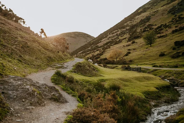 Hermoso Paisaje Con Camino Una Montaña Cerca Río —  Fotos de Stock