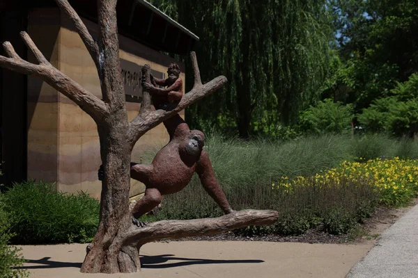 Sochy Opic Zoologické Zahradě Swope Park Kansas City — Stock fotografie