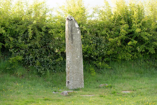 Aged Dolmen Lush Green Field County Louth Ireland Thick Bushes — Stock Photo, Image