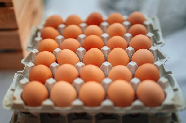 Primer Plano Huevos Gallina — Foto de Stock