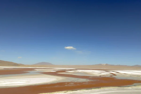 Detailní Záběr Salar Uyuni Bolívii — Stock fotografie