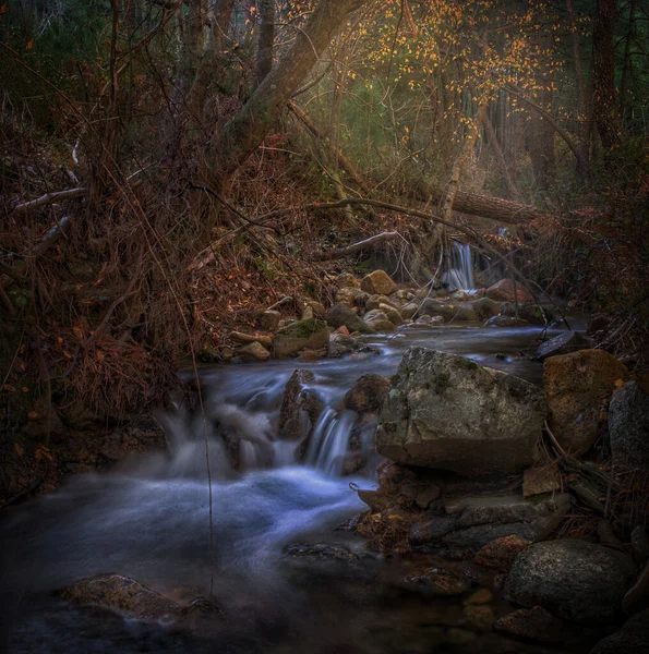 Beautiful View Stream Flowing Middle Autumnal Forest — Fotografia de Stock