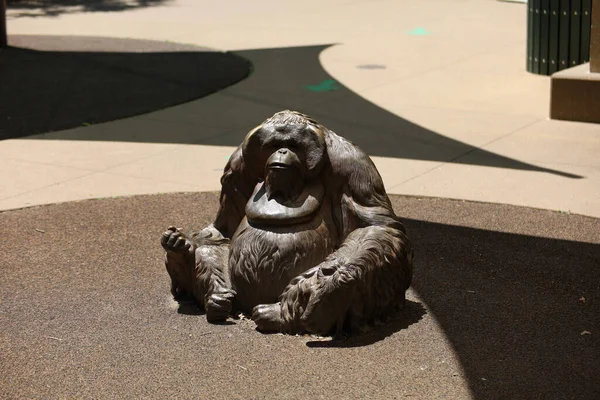 Eine Affenstatue Einem Zoo Swope Park Kansas City — Stockfoto