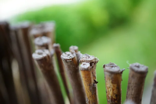 Close Tiro Uma Barreira Feita Galhos Árvore Fundo Desfocado Verde — Fotografia de Stock