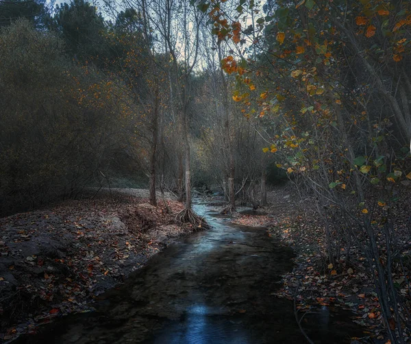 Ein Fluss Fließt Herbst Durch Den Wald — Stockfoto
