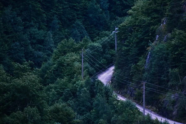 Een Griezelig Landschap Van Een Snelweg Door Een Betoverend Bos — Stockfoto