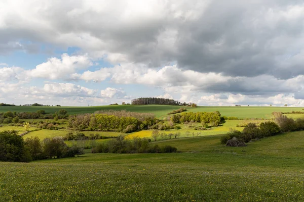 Висококутний Знімок Весняного Пейзажу Зеленими Полями Луками — стокове фото