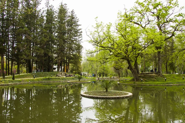 Egy Parkban Zugdidi Botanikus Kert Grúziában — Stock Fotó