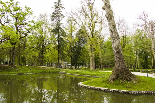 Ein Teich Park Botanischen Garten Zugdidi Georgien — Stockfoto