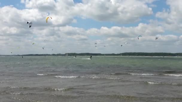 Kite Surfing Activity Baltic Sea Beach Laboe Germany Sunny Day — Stock Video