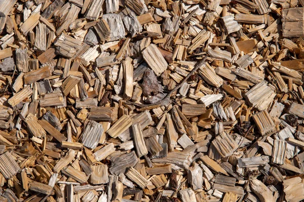 Closeup Shot Shredded Wood Chips — Stock Photo, Image