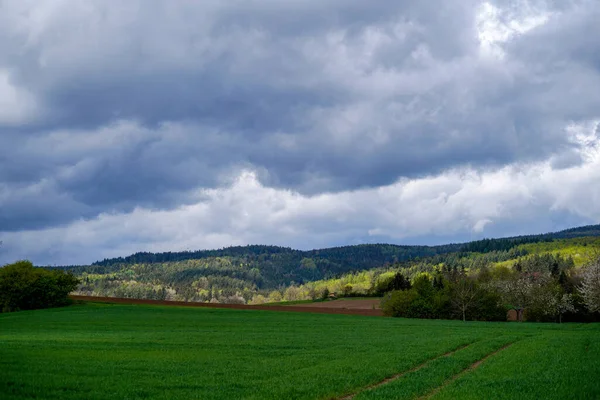 Primer Plano Exuberantes Prados Baviera Con Cielos Nublados —  Fotos de Stock