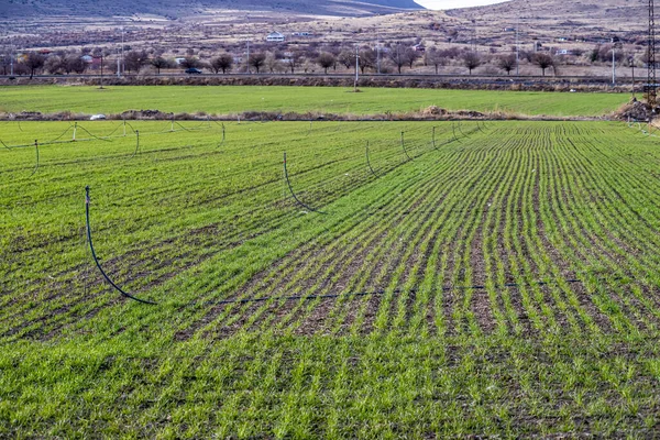 Una Vista Aérea Sistema Riego Moderno Tierras Cultivo — Foto de Stock