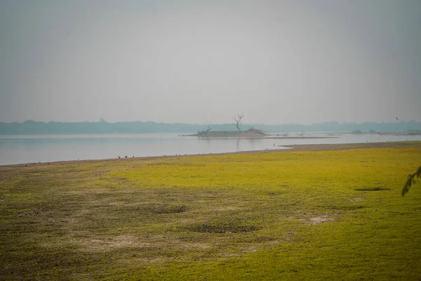 Malowniczy Widok Zieloną Łąkę Jezioro Otoczone Mgłą — Zdjęcie stockowe
