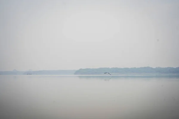 Uma Vista Panorâmica Pássaro Voando Sobre Lago — Fotografia de Stock