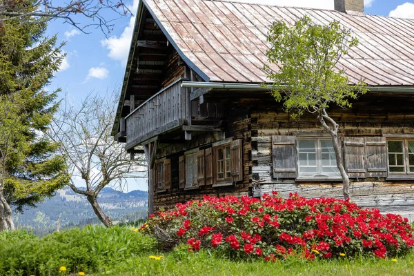 Eine Alte Holzhütte Und Schöne Blumen Den Bergen — Stockfoto