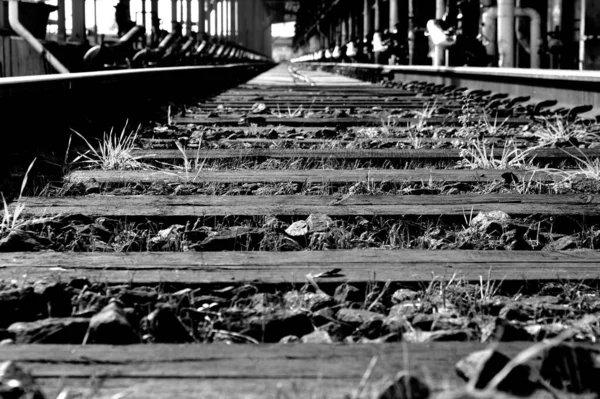 Graustufenaufnahme Eines Alten Bahngleises Einem Sonnigen Tag Mit Verschwommenem Hintergrund — Stockfoto