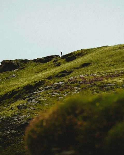 一个低矮的绿色小山和一个站在山顶上的男人 — 图库照片