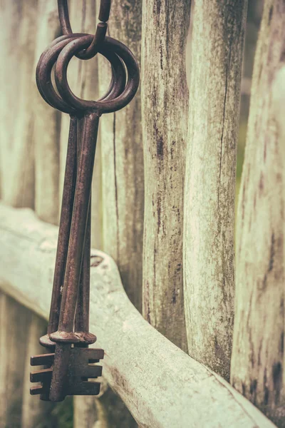 Вертикальный Снимок Двух Старых Металлических Ключей Висящих Рядом Друг Другом — стоковое фото