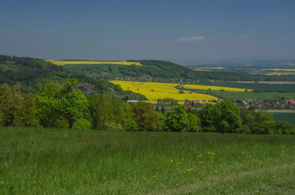Красивый Пейзаж Холмами Зелеными Желтыми Полями — стоковое фото
