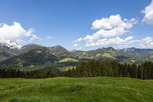 Una Splendida Vista Sugli Alberi Prato Verde Con Montagne All — Foto Stock