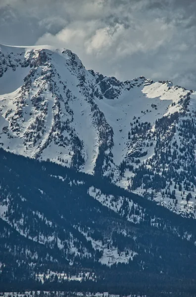 Plano Vertical Montañas Con Bosques Frondosos Envueltos Nieve — Foto de Stock