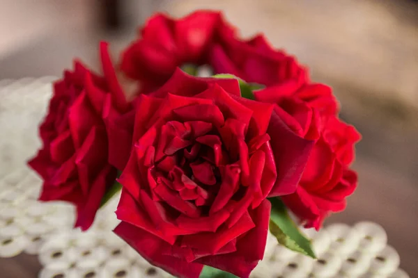 Közelkép Virágzó Vörös Rózsákról — Stock Fotó