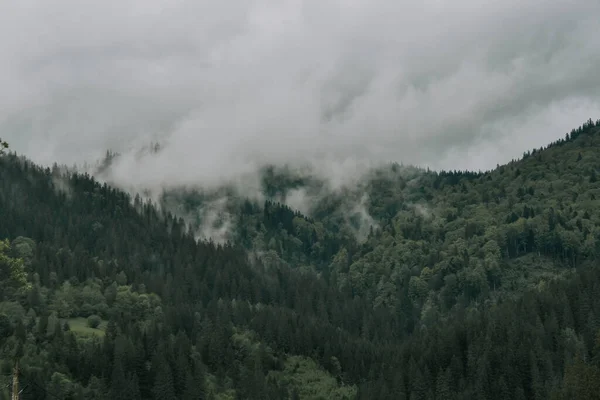 Una Splendida Vista Paesaggio Montuoso Con Verde Avvolto Nella Nebbia — Foto Stock