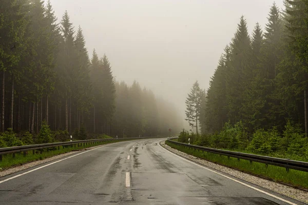 Hosszú Vezet Ködös Erdőkbe — Stock Fotó