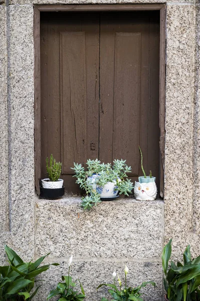 葡萄牙吉马拉伊 一个关着的窗户的照片 窗前有植物 — 图库照片