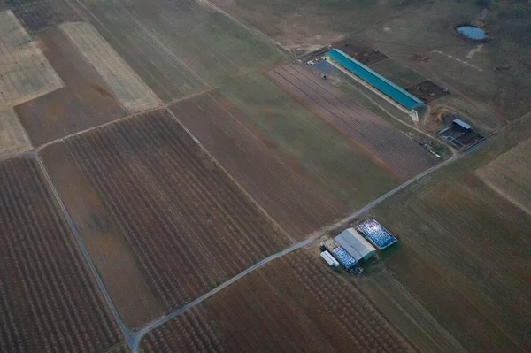 Top View Shot Farmland Cultivated Agricultural Fields — Stock Photo, Image