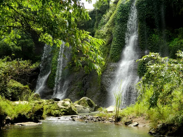 Ein Schöner Blick Auf Einen Wasserfall Wald — Stockfoto