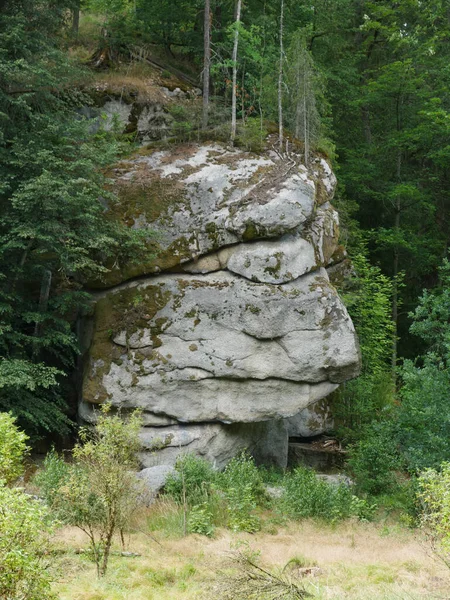 Colpo Verticale Enormi Rocce Alberi Verdi Freschi Nella Foresta — Foto Stock