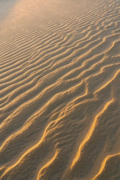 Textura Las Dunas Bridport Tasmania Australia — Foto de Stock