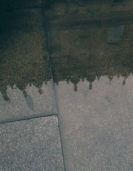 Creative Shot Shadows People Water Asphalt — Stock Photo, Image