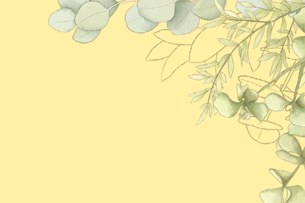 노란색 배경에 다니고 꽃피는 식물의 가지들 — 스톡 사진
