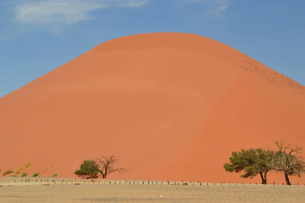 Een Zand Berg Een Woestijn Een Zonnige Dag Namibië Afrika — Stockfoto