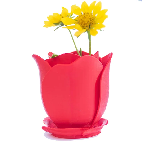 Tiro Isolado Flores Amarelas Vaso Forma Rosa — Fotografia de Stock