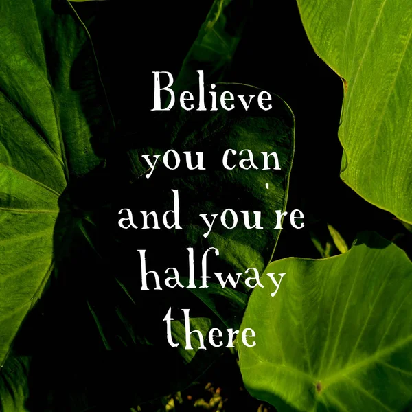 A motivational quote with white font on the background of the leaves of a plant