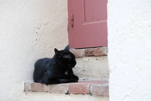 Black Cat Lounging Stone Steps — Stock Photo, Image