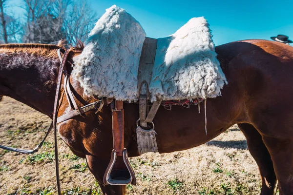 アルゼンチンのパタゴニアでの馬鞍の閉鎖 — ストック写真