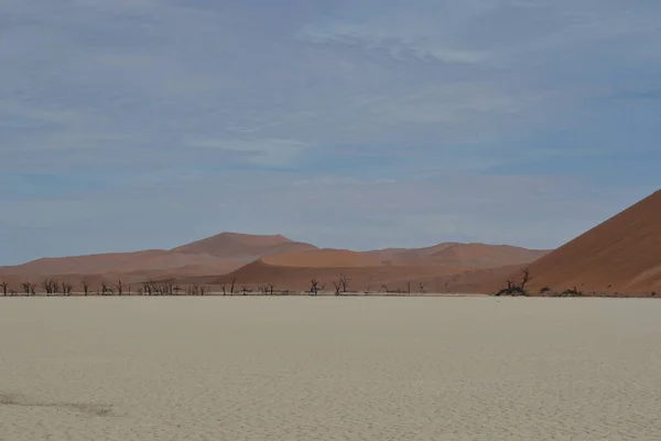 Uma Paisagem Pacífica Duna Deadvlei Perto Sossusvlei Dentro Parque Namib — Fotografia de Stock