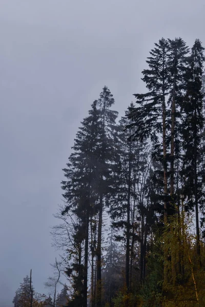 霧に包まれた緑の山の風景の美しい景色 — ストック写真