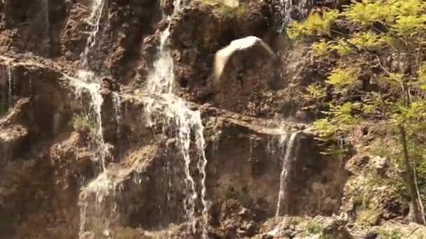 Hermosa Cascada Bosque — Vídeo de stock