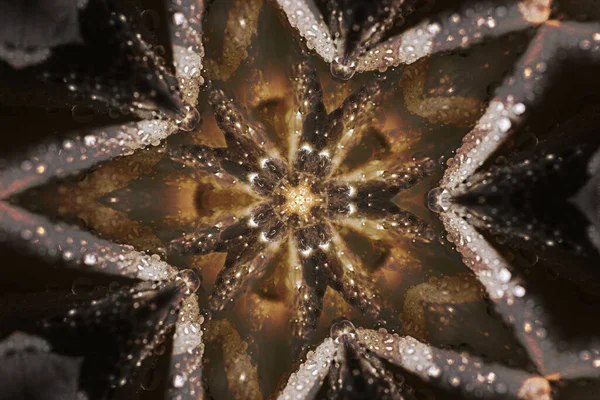 Krásný Mandala Vzor Lesklými Prvky Hnědých Tónech — Stock fotografie