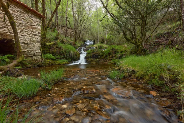 Una Hermosa Toma Una Pequeña Cascada Través Rocas Musgosas Galicia — Foto de Stock