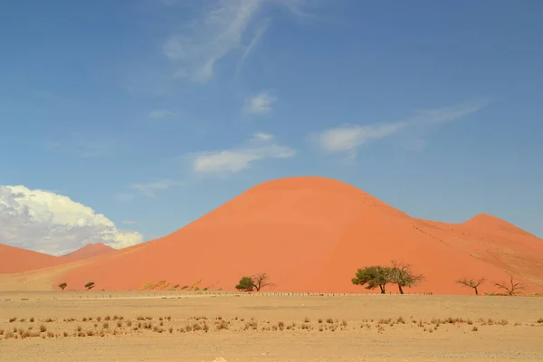 Een Goudene Zand Berg Een Woestijn Namibië Afrika — Stockfoto