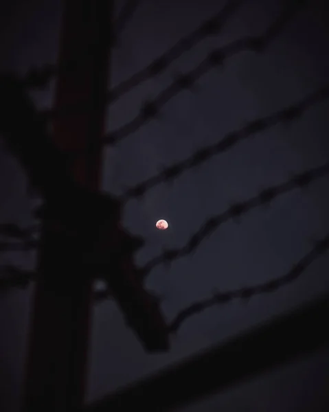 Μια Επιλεκτική Εστίαση Της Gibbous Φεγγάρι Σιλουέτα Ενός Πόλου Χρησιμότητας — Φωτογραφία Αρχείου