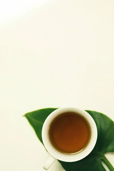 白い背景に茶葉を入れた白いマグカップの垂直方向のトップビュー — ストック写真