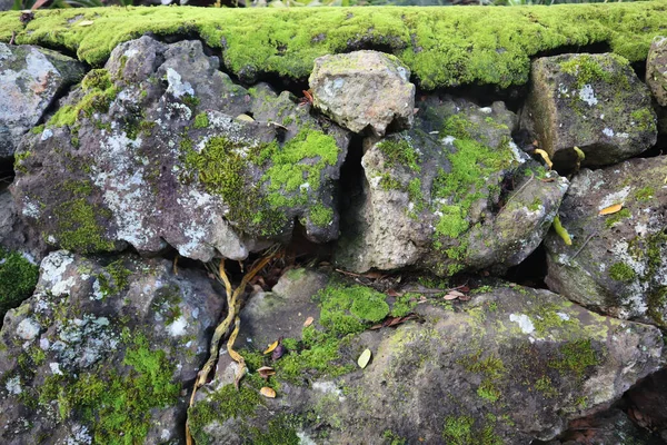 Primer Plano Pared Roca Con Musgo Verde Brillante Perfecto Para — Foto de Stock